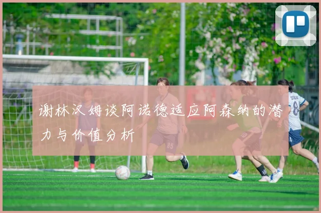谢林汉姆谈阿诺德适应阿森纳的潜力与价值分析