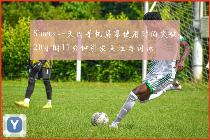 Shams一天内手机屏幕使用时间突破20小时11分钟引发关注与讨论